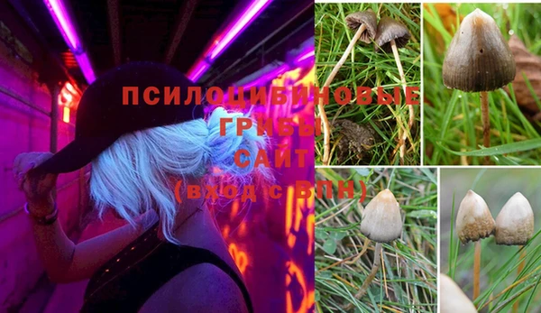дурь Баксан