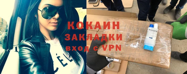мдпв Ельня